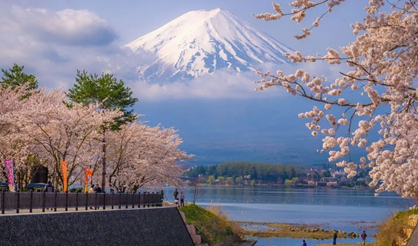 日本旅游攻略：盘点日本最美的五个景点。