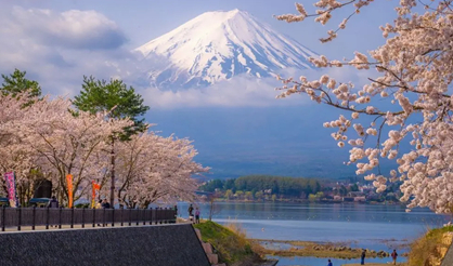 日本旅游攻略：盘点日本最美的五个景点。